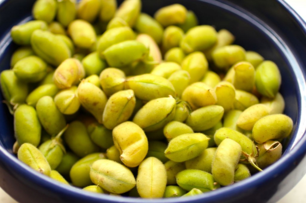 fresh garbanzo beans
