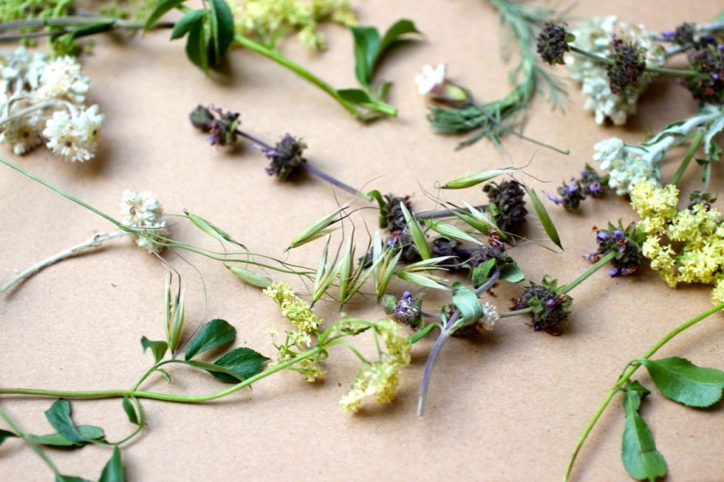 drying herbs, making flower essences 