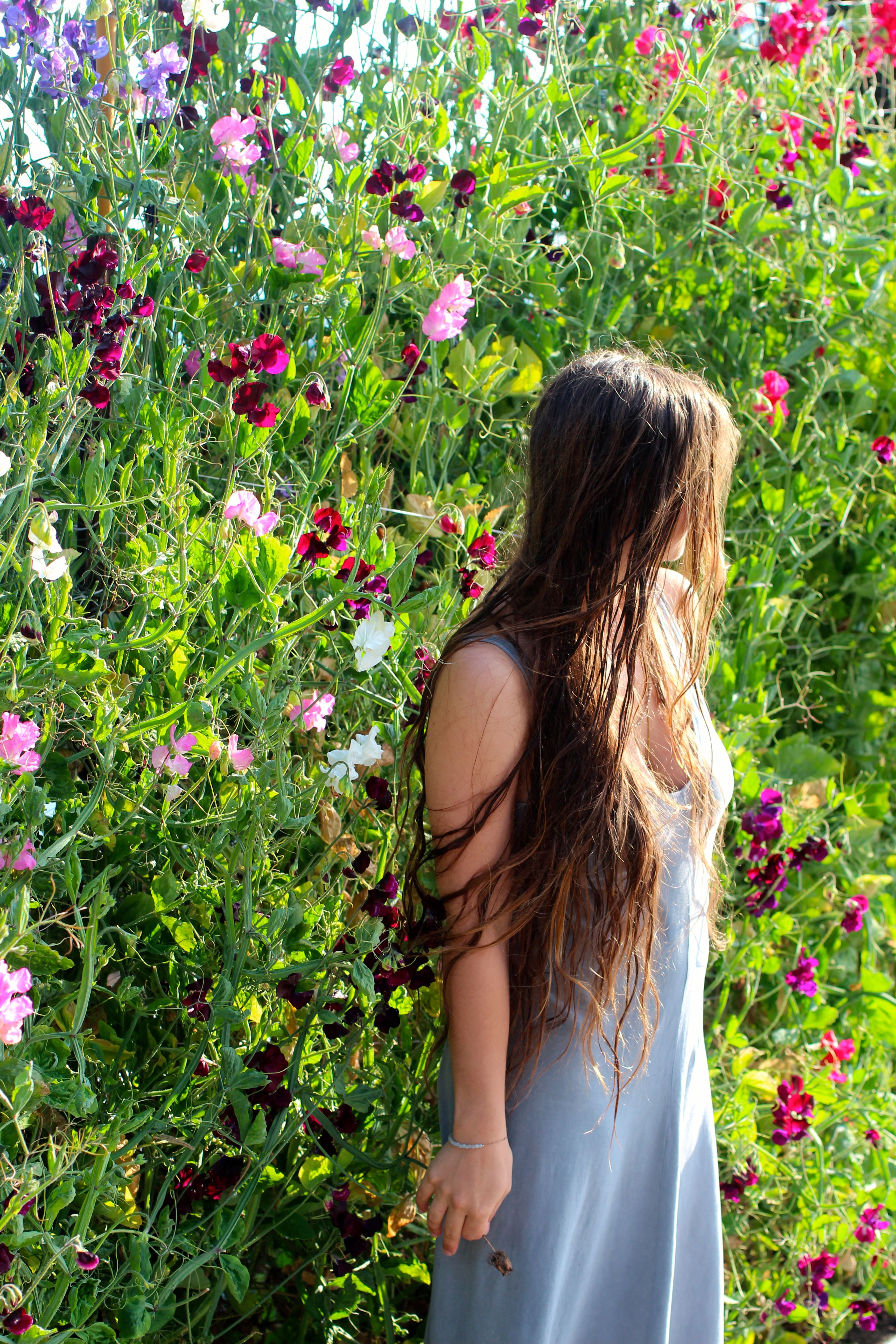 Beautiful Flower Garden Path