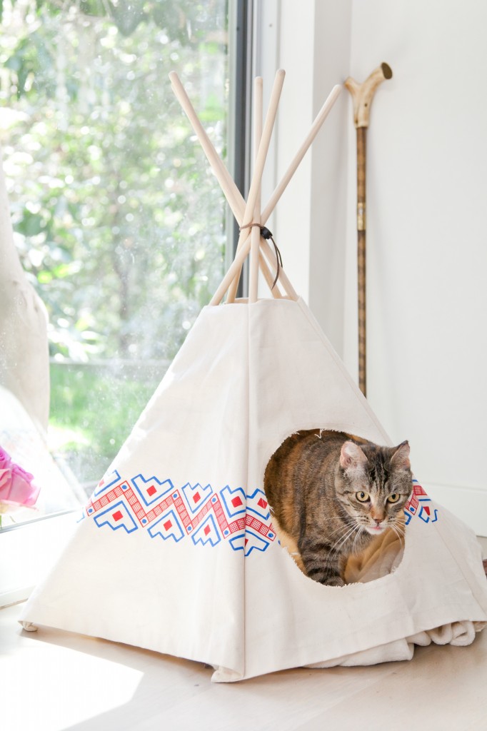 Cat tipi