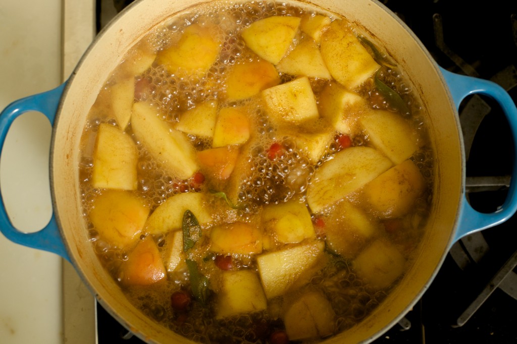 butternut squash apple soup