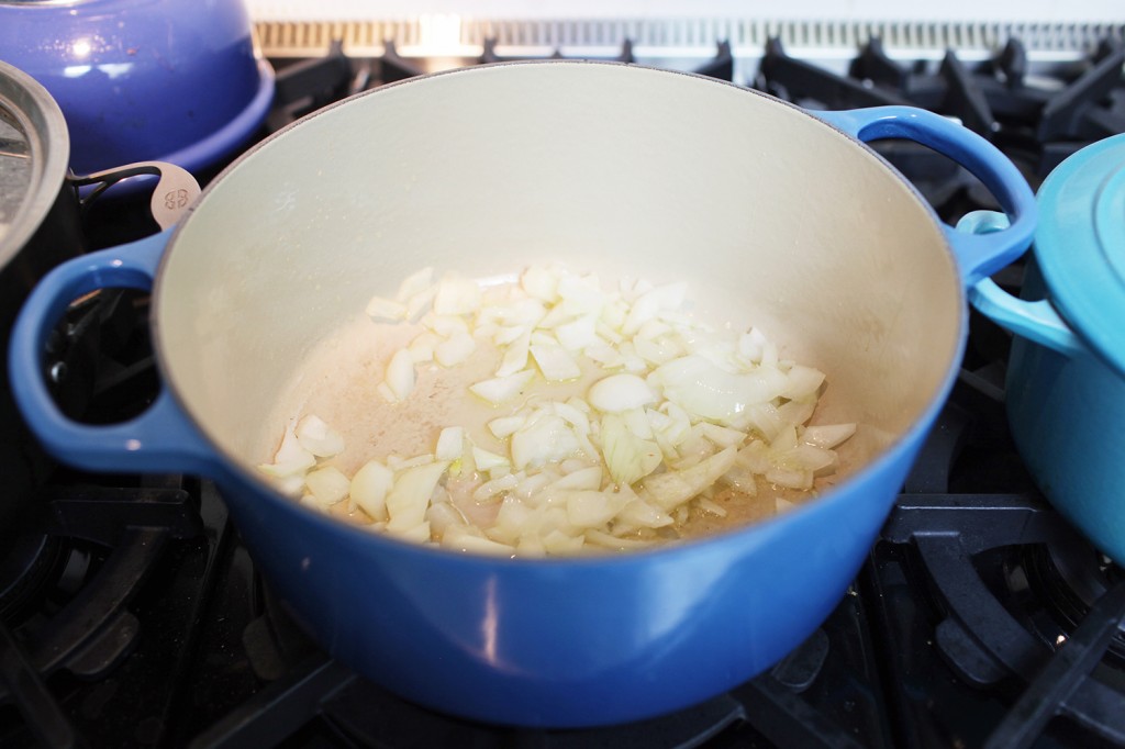 Persian stew, shiva rose, walnut pomegranate stew