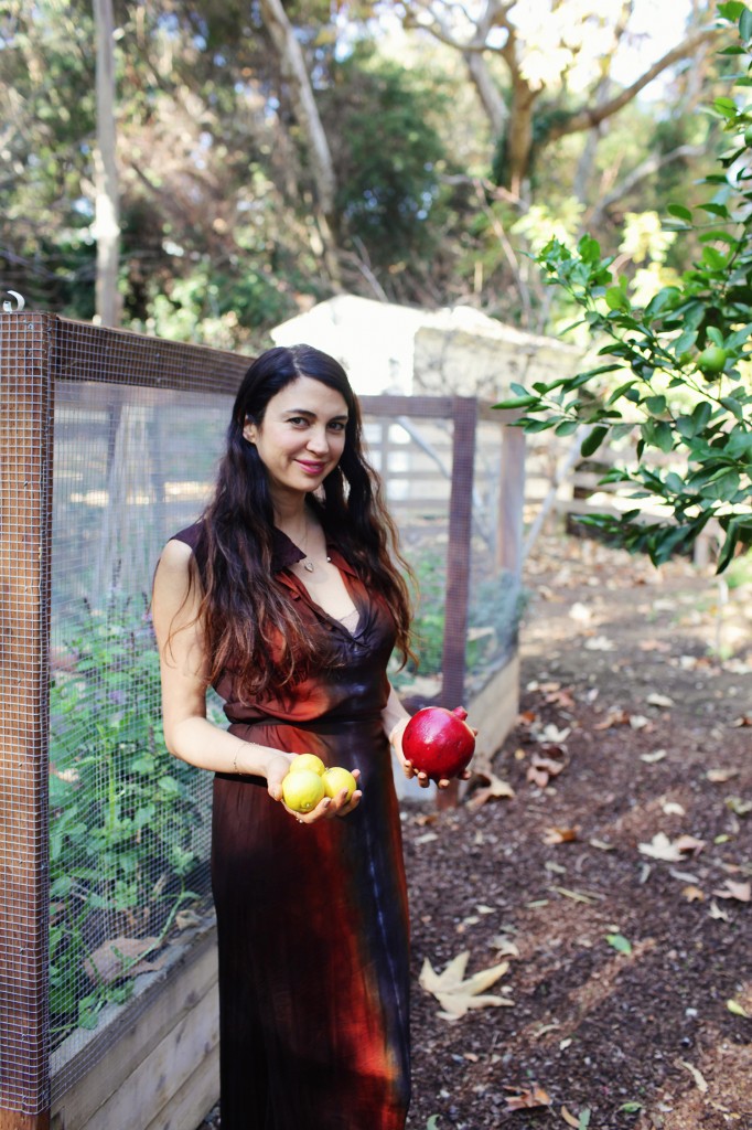 Shiva Rose, Pomegranate walnut stew