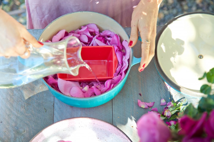 DIY rosewater