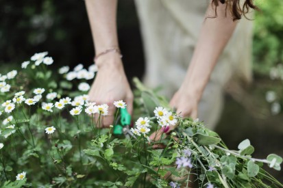 yasmine floral design, shiva rose, foraging flowers