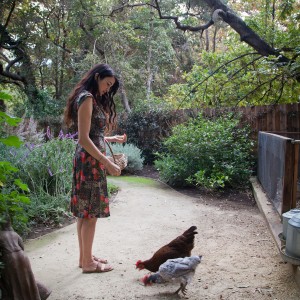 raising chickens, home coops for chickens, Sous Style, Shiva Rose, Chickens, The Local Rose, Rose Land