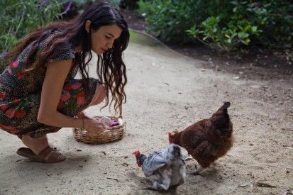 home coops for chickens, shiva rose