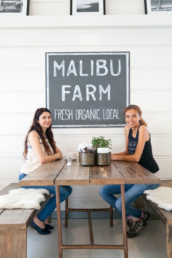 malibu farm, organic food, swedish California cuisine