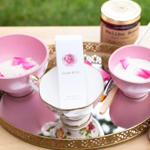 Queen Bee Spa, Jodi Shays, The Local Rose, Shiva Rose, natural facials, non-toxic products, honey, bees
