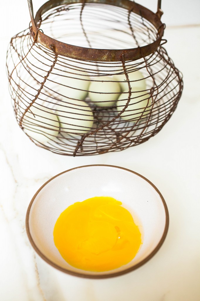 egg yolks for hair conditioner 