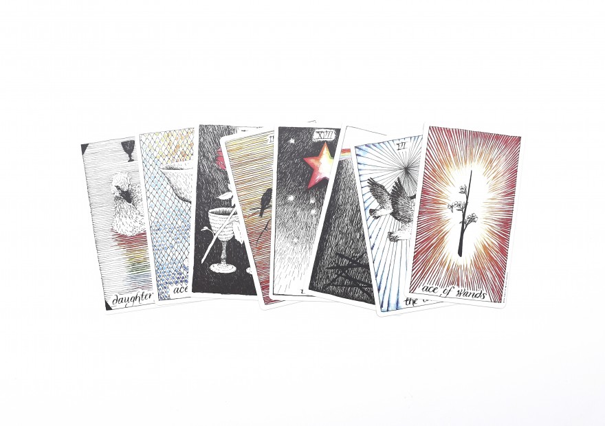 wild unknown, tarot cards 