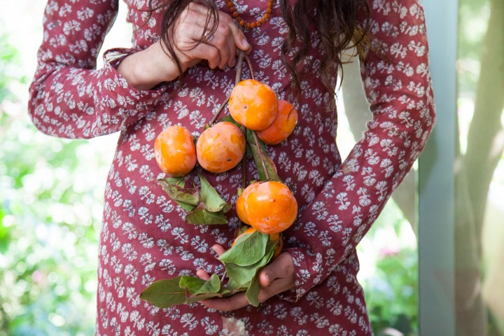 shiva_persimmon_seeds_oil-14-of-28