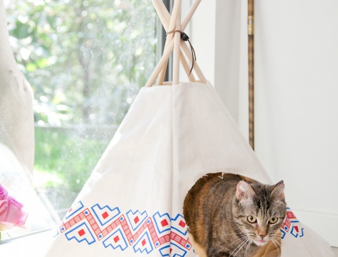 Cat Tipi and The Tale of Fig