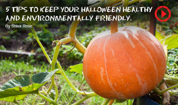 Tips For A Green Halloween