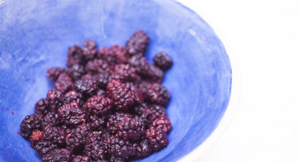 Divinely Delicious Persian Mulberry Crumble