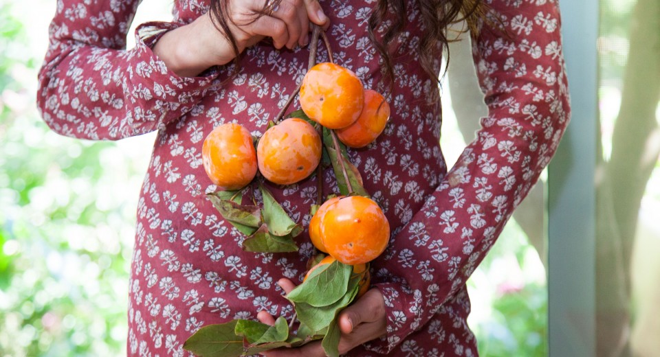 Persimmon Colored Memories